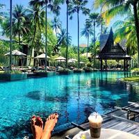 Отзыв от Роза - Visa DTV